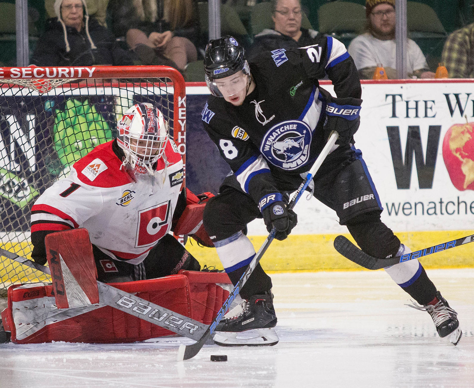 01232019 WildHockey 19.jpg.jpg